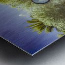 Springtime Serenity: Exploring Saint Marys Riverside Park and t Metal print