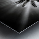 Lighted Palm Metal print