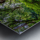 Exploring the Enchantment: A Journey through Elizabethan Gardens Impression metal