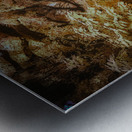 Ocala Secret: Infrared Curve Metal print