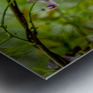 Springs Purple Poetry Impression metal