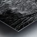 Solitary Trails: Eerie Path Near Knoxville Metal print