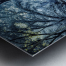 JOURNEYS THROUGH LYNCHBURG: EXPLORING JACK DANIELS AND BEYOND Metal print