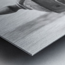 Southern Sentinel Metal print