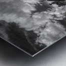 Reeves Peanut Co Metal print