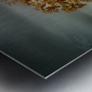 Southern Sentinel: Live Oaks Dream Metal print