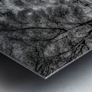 Eufaula Elegance: A Monochromatic Journey Through Time Metal print