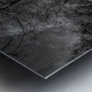 Enchanted Pathways: A Monochrome Overture Metal print