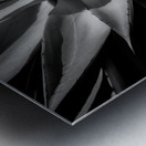 Silent Symphony of Leafy Angles Metal print