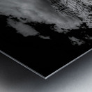 Desert Majesties in Monochrome Metal print