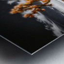 Arboreal Blaze in Barren Harmony Metal print