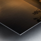 Silhouette in Sunlit Harmony Impression metal