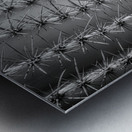 Prickly Pathway Impression metal