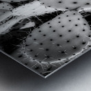 Textures of the Desert Metal print