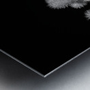 Intricate Dance of Cactus Spines Metal print