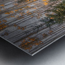 Eternal transition of the forest Impression metal