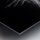 Deserts Silent Play of Light and Shadow Impression metal