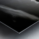 Desert Ballet of Metallic Steeds Impression metal