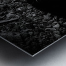 Prickly Silhouette Metal print