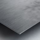 Prickly Veil Metal print