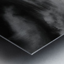 Solitude in Timber and Whee Metal print