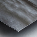 Rooted in the Tempest Metal print