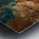 Tapestry of Light and Timber Metal print