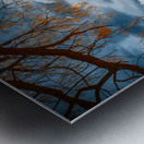 Barn of Timeless Dreams Metal print