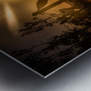 Sun Kissed Harmony Along Rustic Lines Metal print