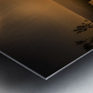 Silhouette in Sunlit Harmony Metal print