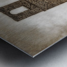 Stone Guardian of Forgotten Eras Metal print