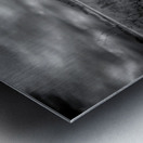 Whispers of a Forgotten Rail Metal print