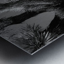 Perched in the Shadow of Spikes Impression metal