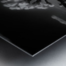 Ghostly Terrain Under Infinite Sky Metal print