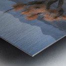 Deserts Spiky Palette Metal print