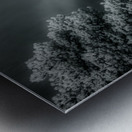 Muellers Mystique Metal print