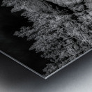 Enigmatic Elegance: Sylvan Lakes Monochrome Marvel Metal print