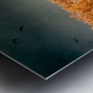 Sylvan Serenity: A Panoramic Odyssey at Custer State Park South Metal print