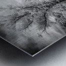 Stairway to History: Stonewalls Ascension Homestead Metal print