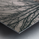 Russet Barn  Pano Metal print