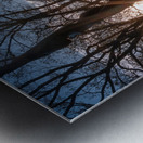 Stand Together Move Forward: North Carolina at Gettysburg Impression metal