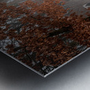 Winters Passage: Confederate Avenue Impression metal