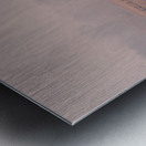 Hazel Field Metal print