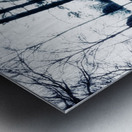 Irish Brigade Gettysburg 5 Metal print