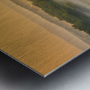 Foggy Bottom Metal print