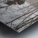 Irish Brigade Gettysburg Metal print