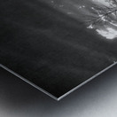 Gloomy Dock Impression metal