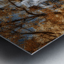 Tranquil Veil   Golden Falls Metal print