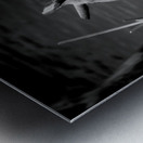 Serene Sylvan Lake: A Tale of Resilience and Reflection Metal print