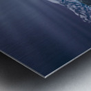 Winters Eternal Canvas Metal print